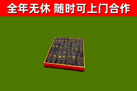 萨尔图回收海参
